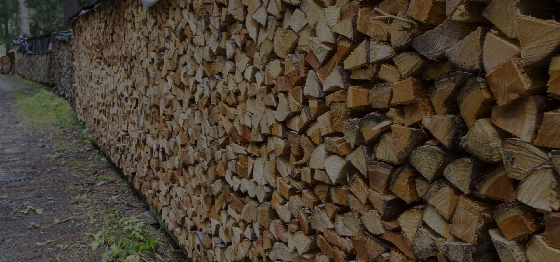 Drewno na stosie